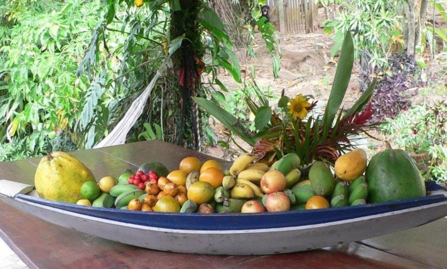Hotel Eco Sitio Nosso Paraiso Сакуарема Екстериор снимка